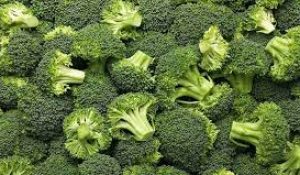Foodcare Broccoli